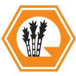 Rana Group