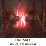 Fire safe API607 & API6FA
